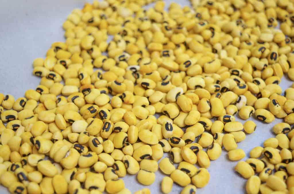 yellow dyed blackeye peas sensory bin