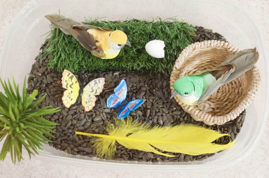 nature sensory bin with birds and butterflies
