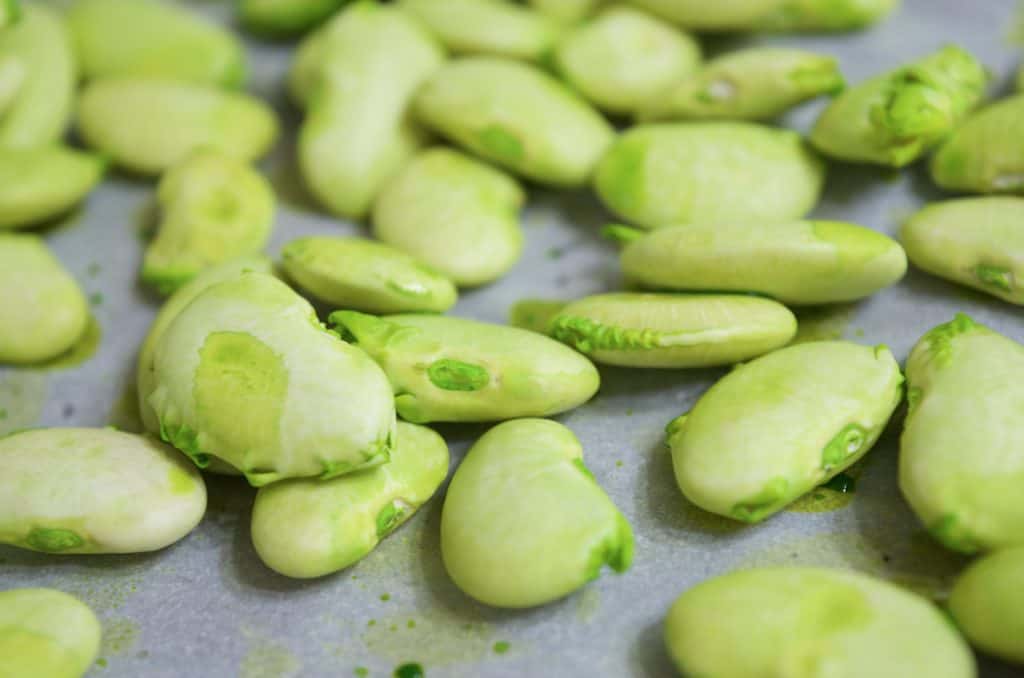 green dyed lima beans for sensory bins