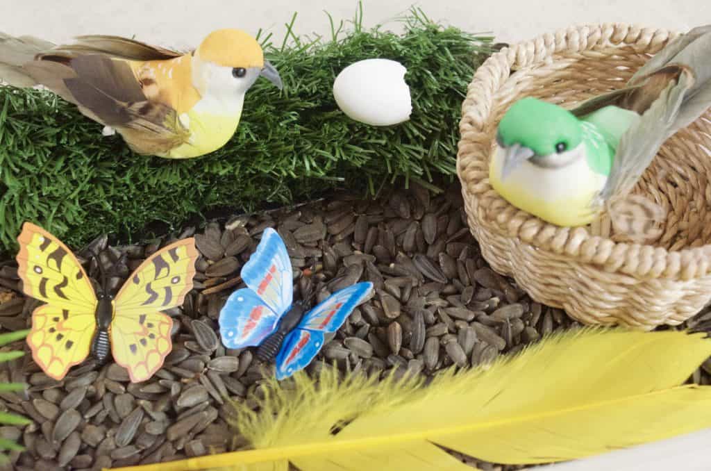 nature sensory bin with birds and butterflies