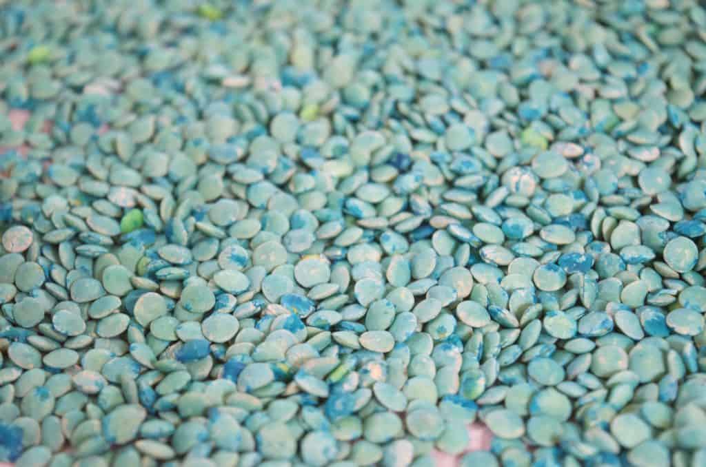 blue dyed lentils for sensory bin