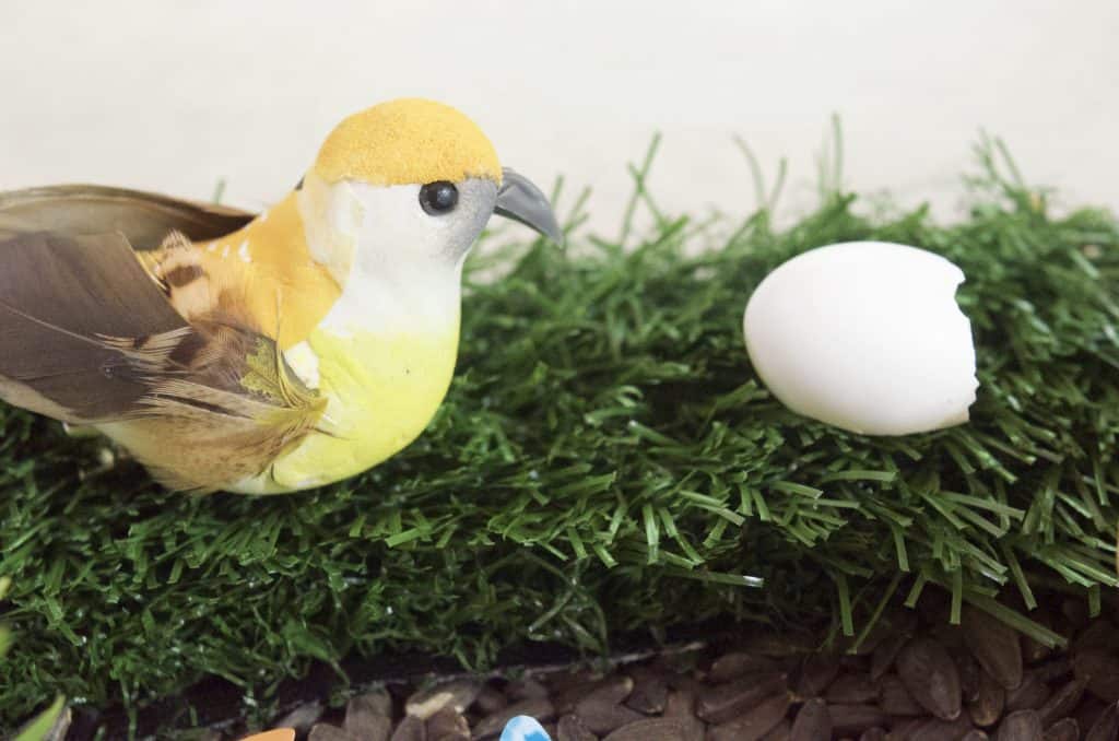 bird in nest nature sensory bin idea