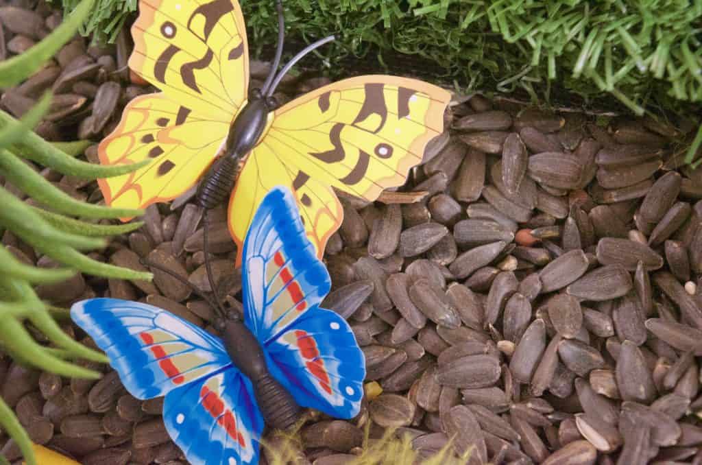 butterfly nature sensory bin idea