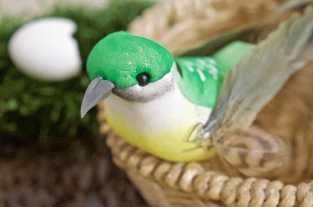 bird in nest nature sensory bin idea