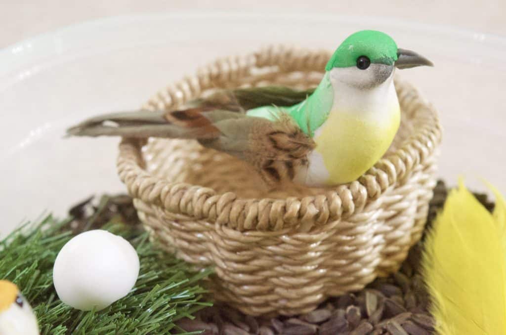 bird in nest nature sensory bin idea