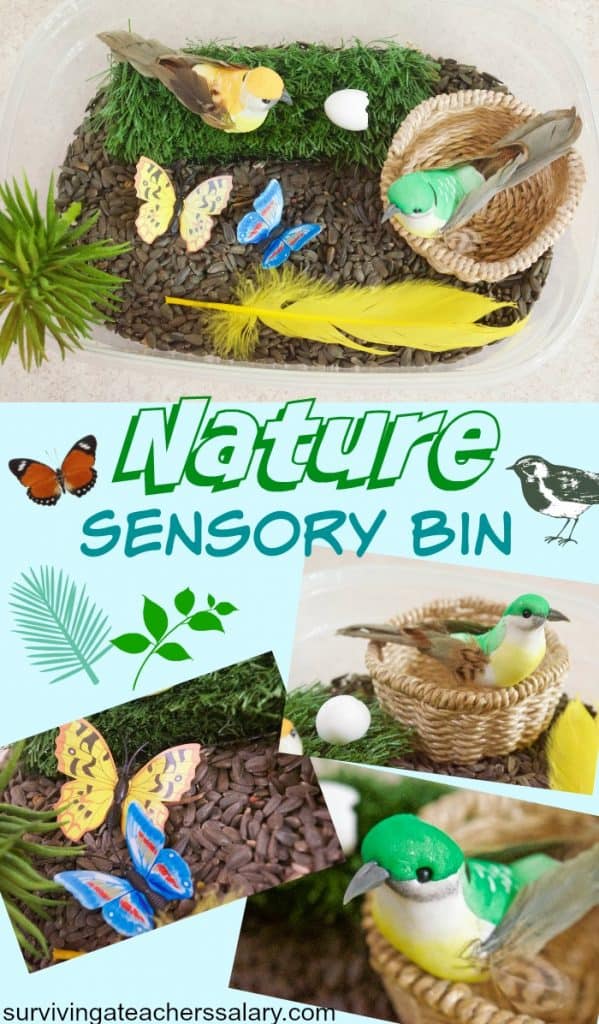 nature sensory bin for kids