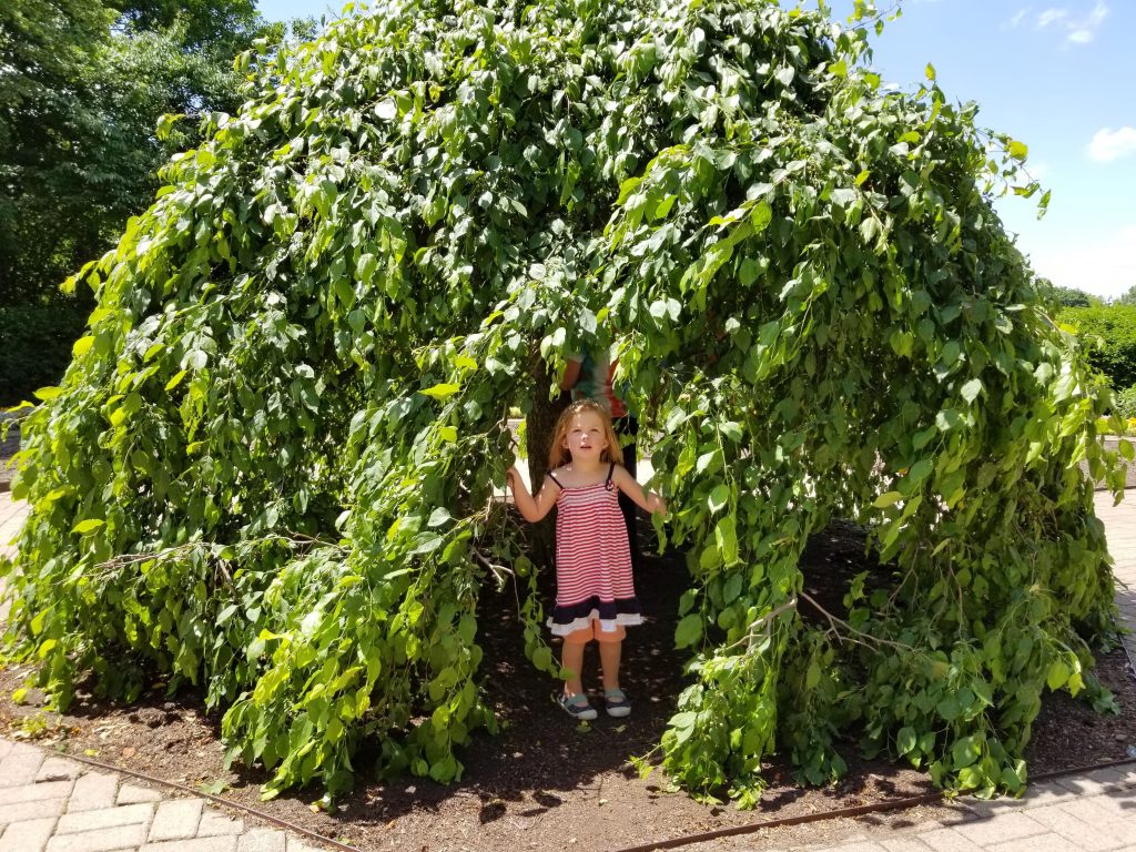 preschool girl standing in green garden