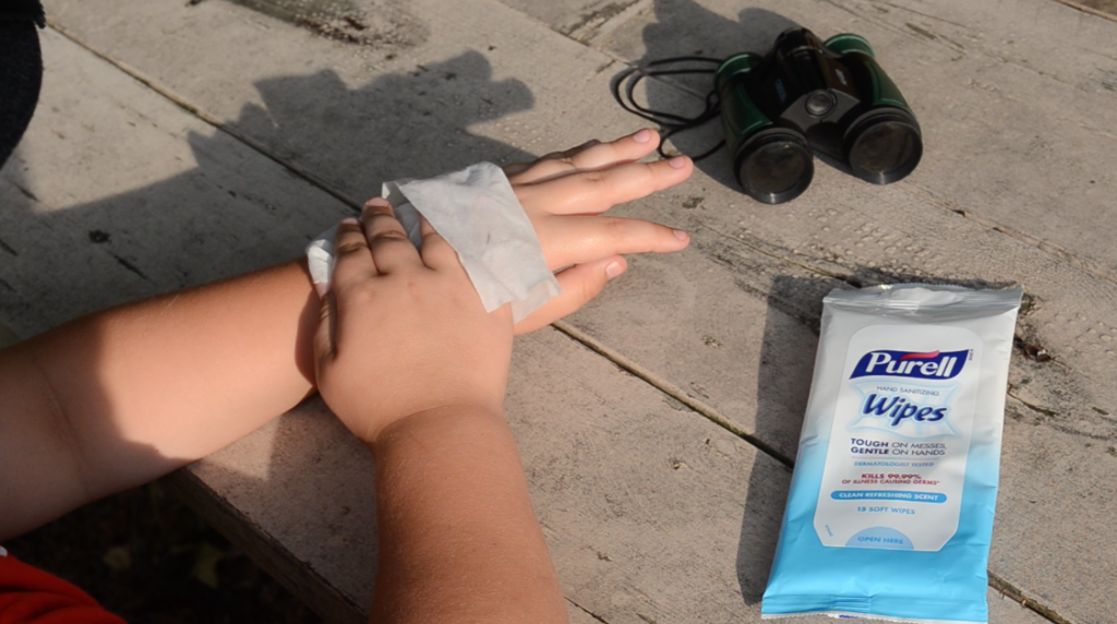 using PURELL Hand Sanitizer Wipes