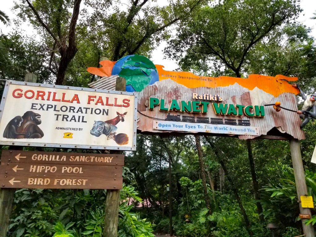 Gorilla Falls hiking Trail Disney Animal Kingdom