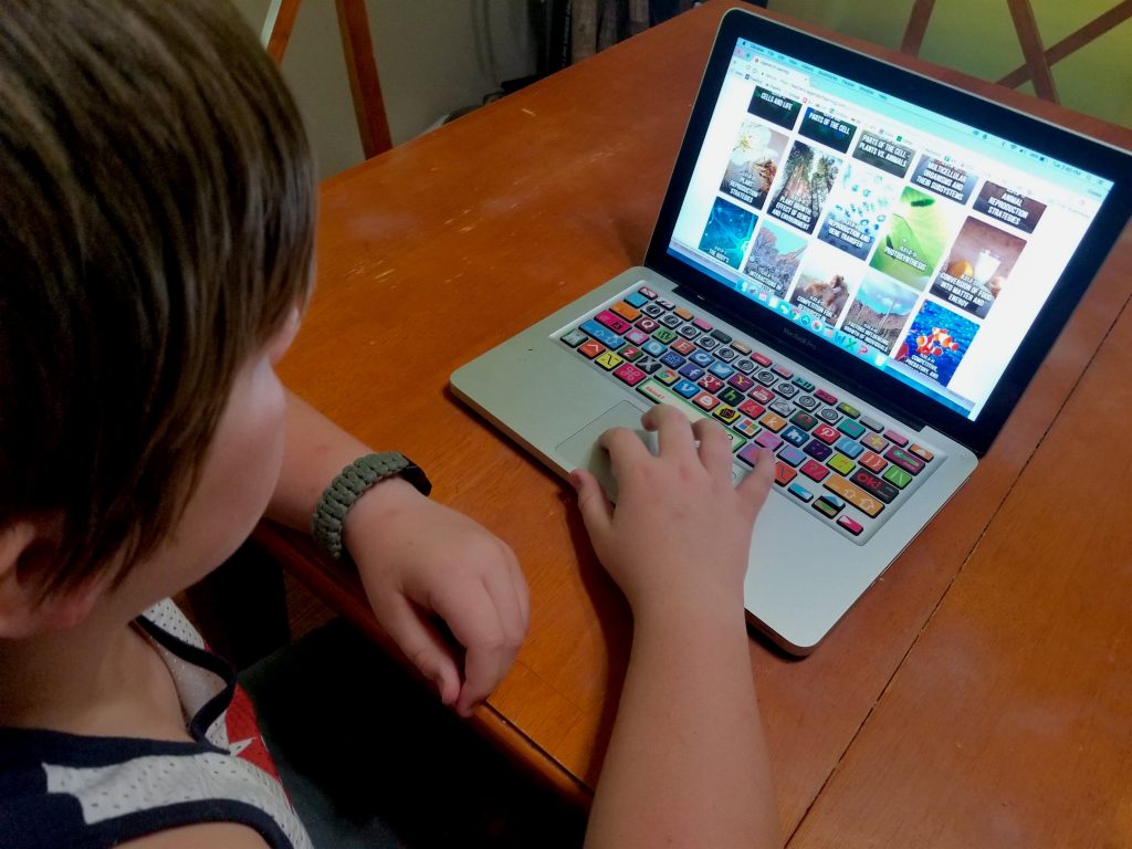 middle school student playing science computer game