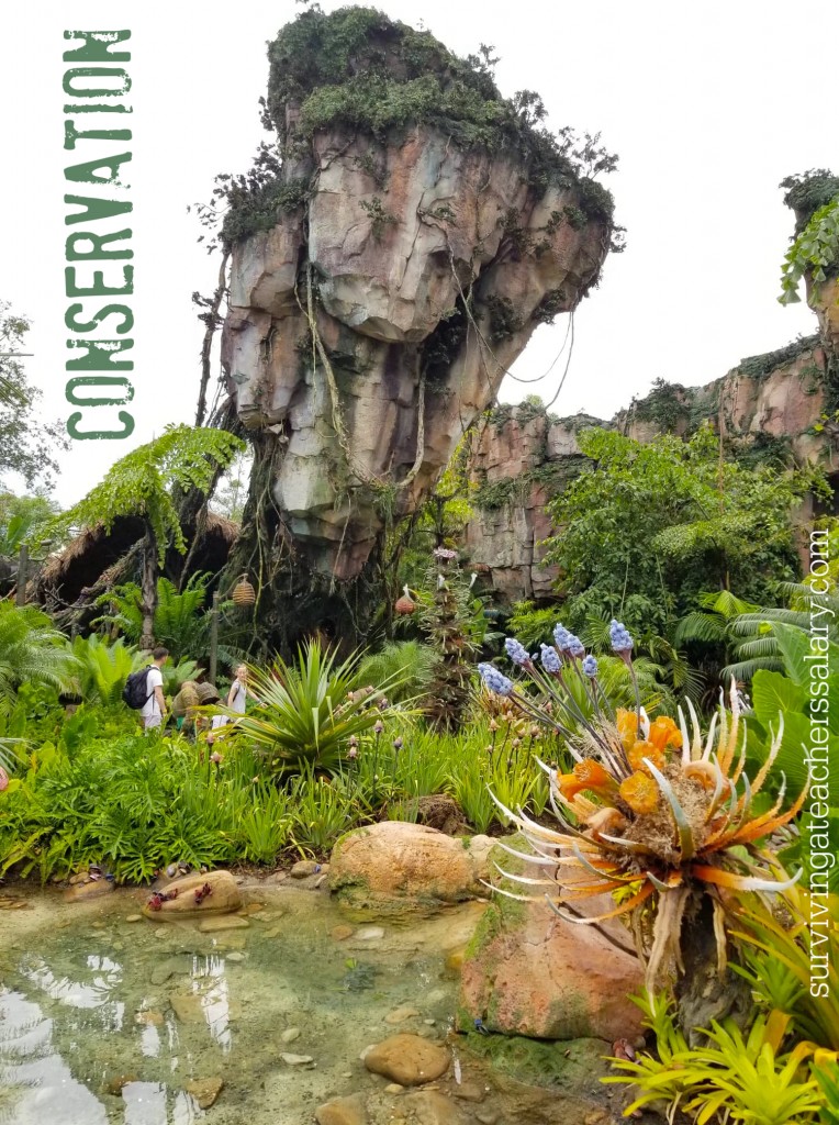 Disney Animal Kingdom Pandora Avatar Floating Mountains