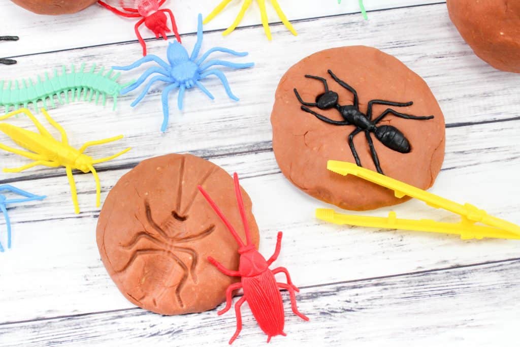 toy bugs and insects in fossil play dough