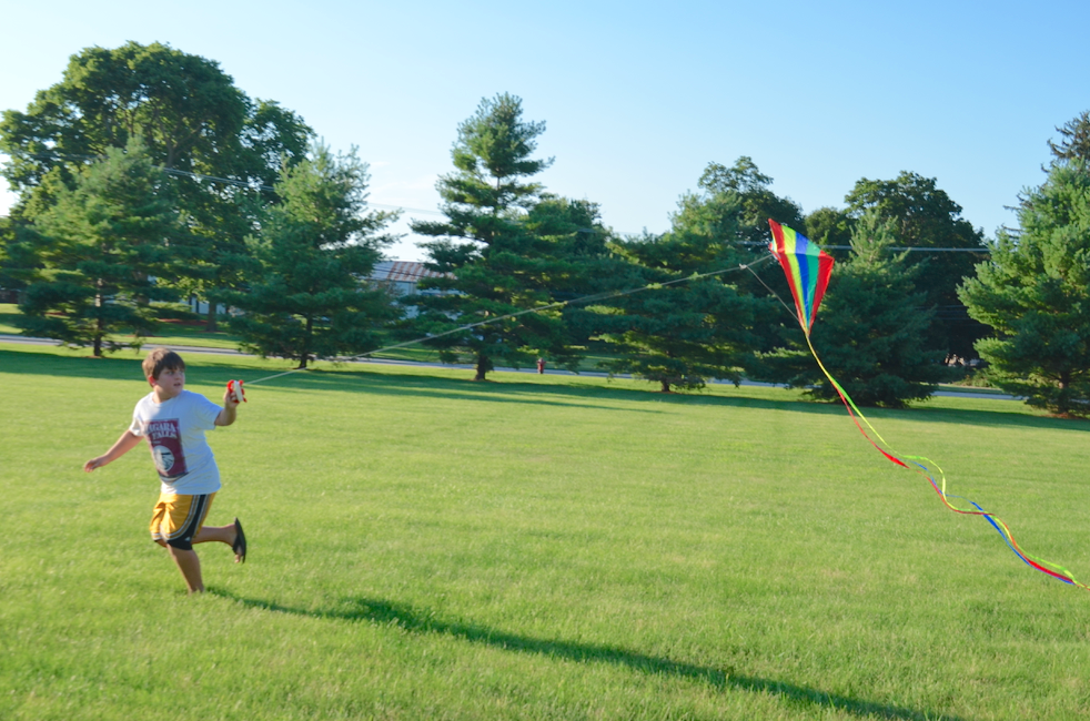boy flying kite in green grass field