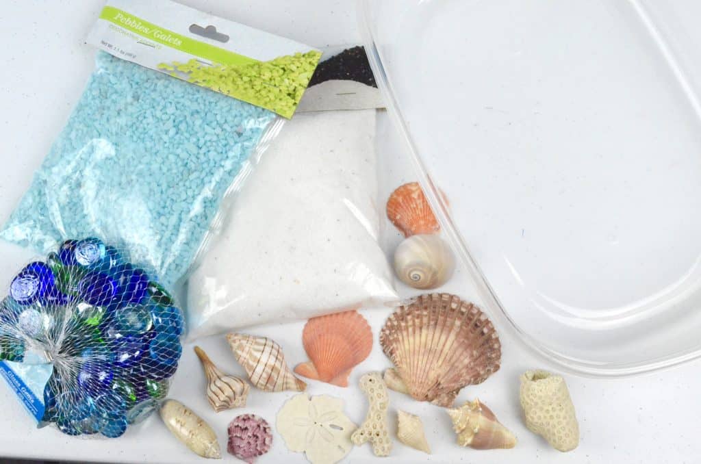 seashells and sand for beach sensory bin