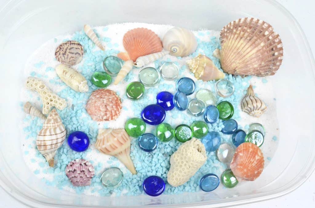 seashells and sand beach sensory bin