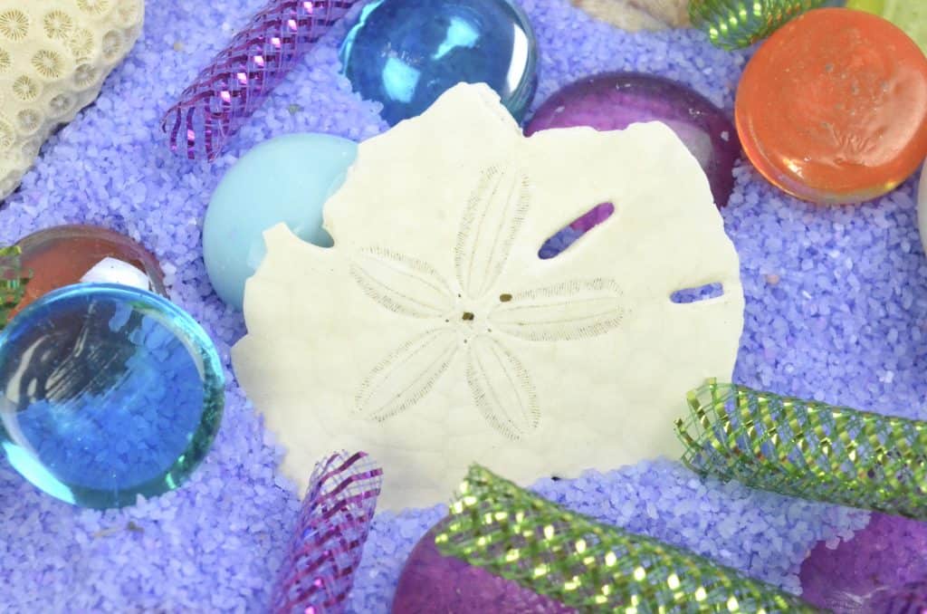 mermaid sensory bin with sand dollar 