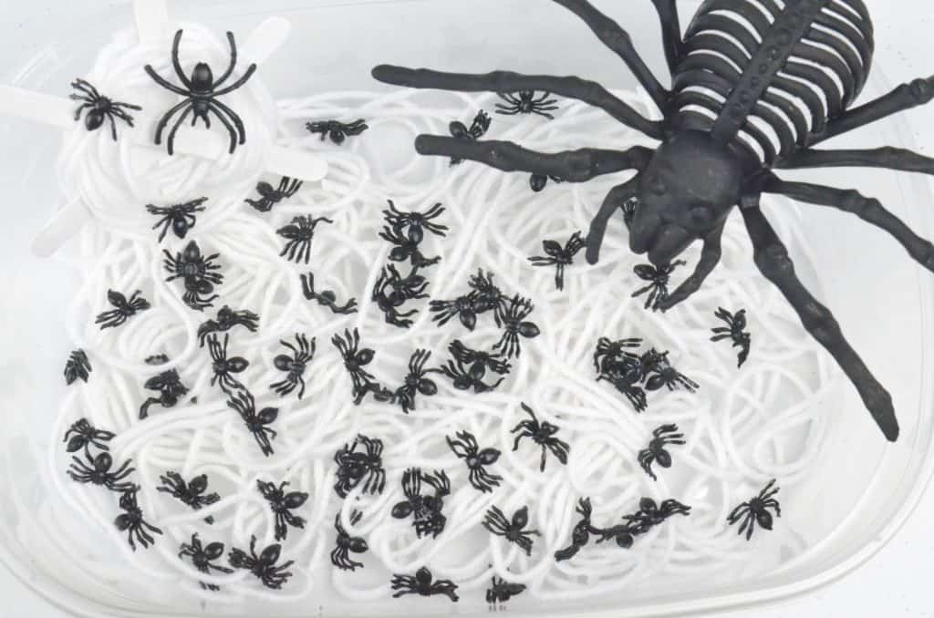 spider sensory bin scary science preschool play