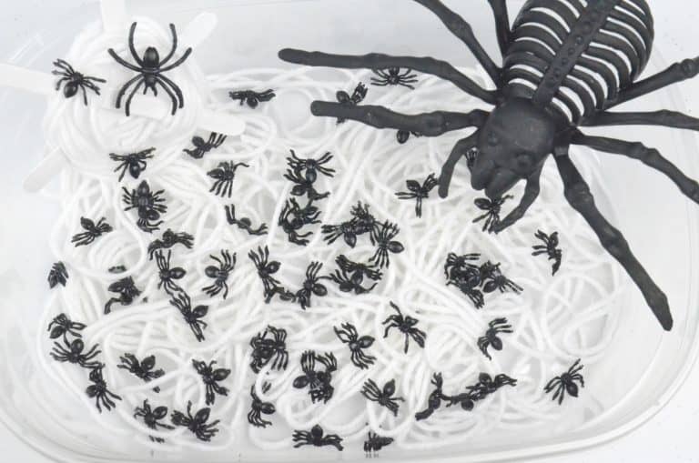 Spider Web Sensory Bin: Halloween Science Preschool Play