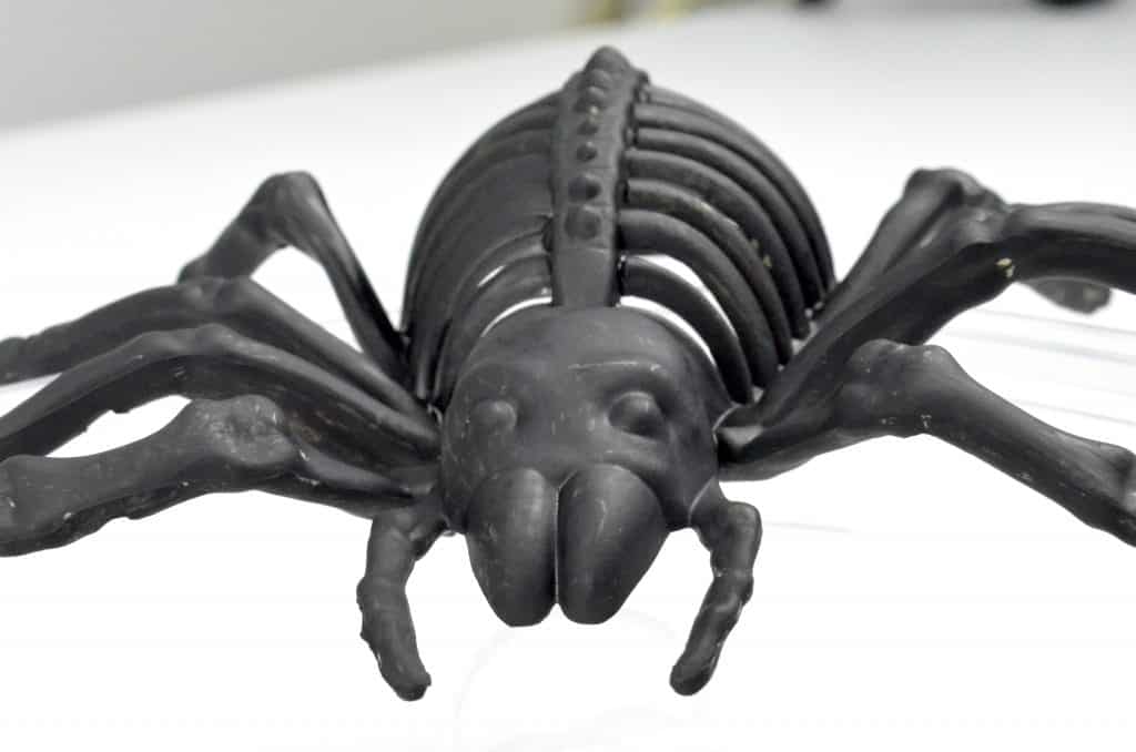 black Halloween spider toy