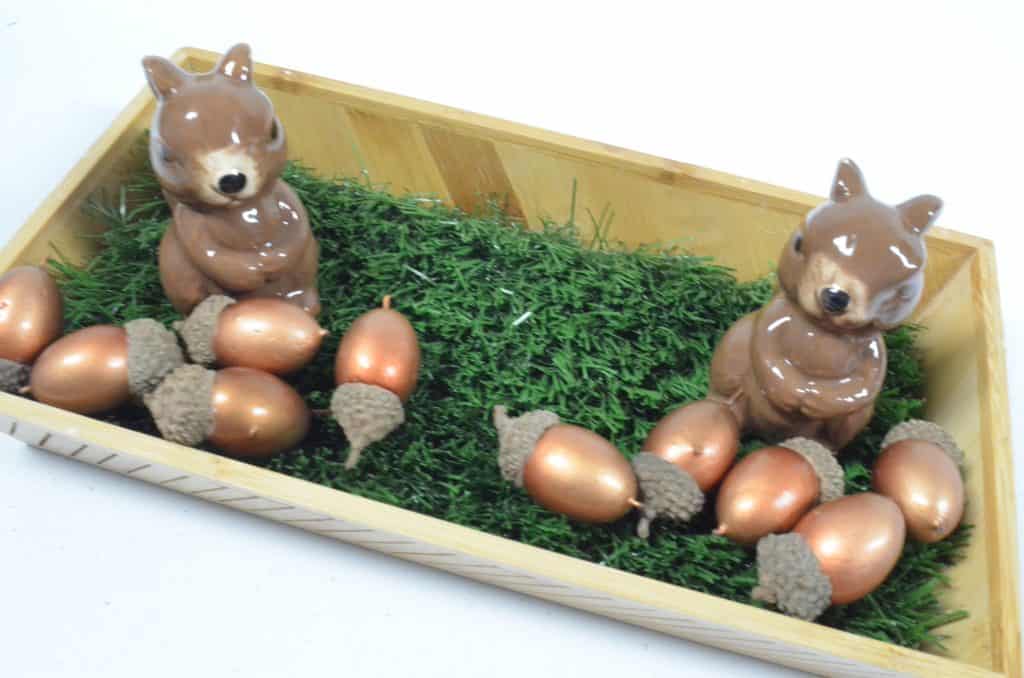 Squirrel Fall Sensory Bin for preschool