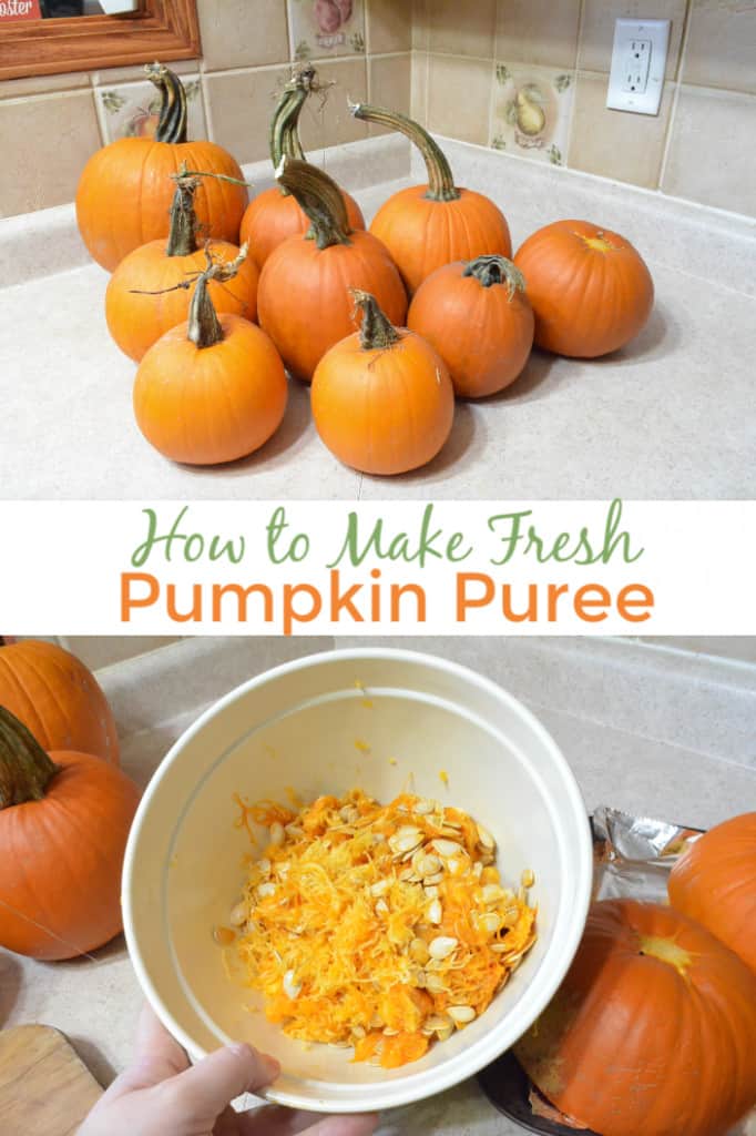 fresh homemade pumpkin puree