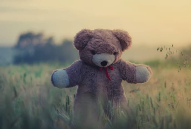 stock teddy bear in grass photo