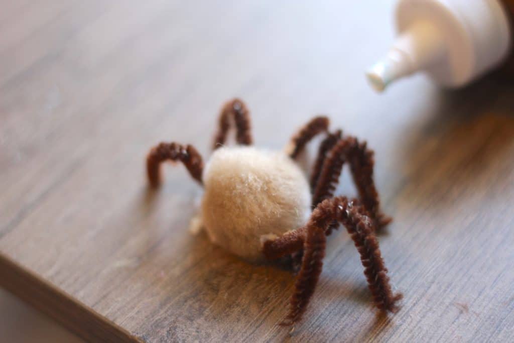 spider pom pom pipe cleaner craft