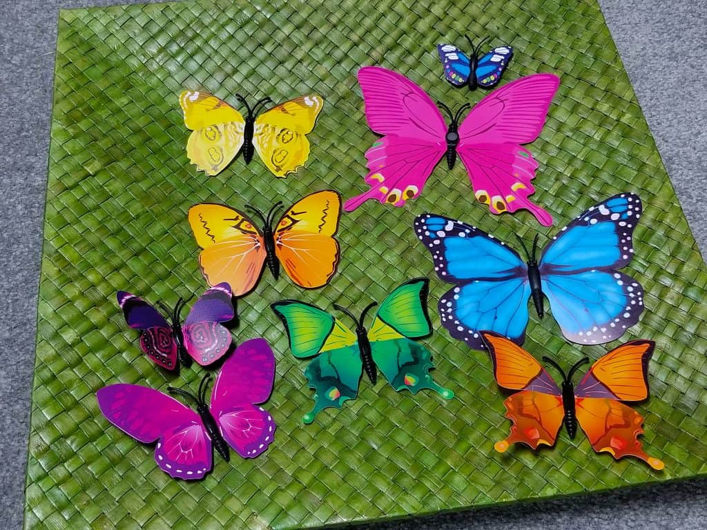 green basket weave butterflies sensory