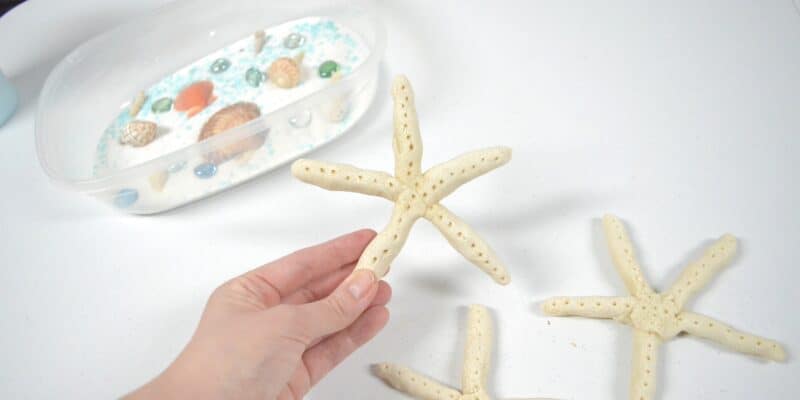 3 salt dough starfish beach sensory bin