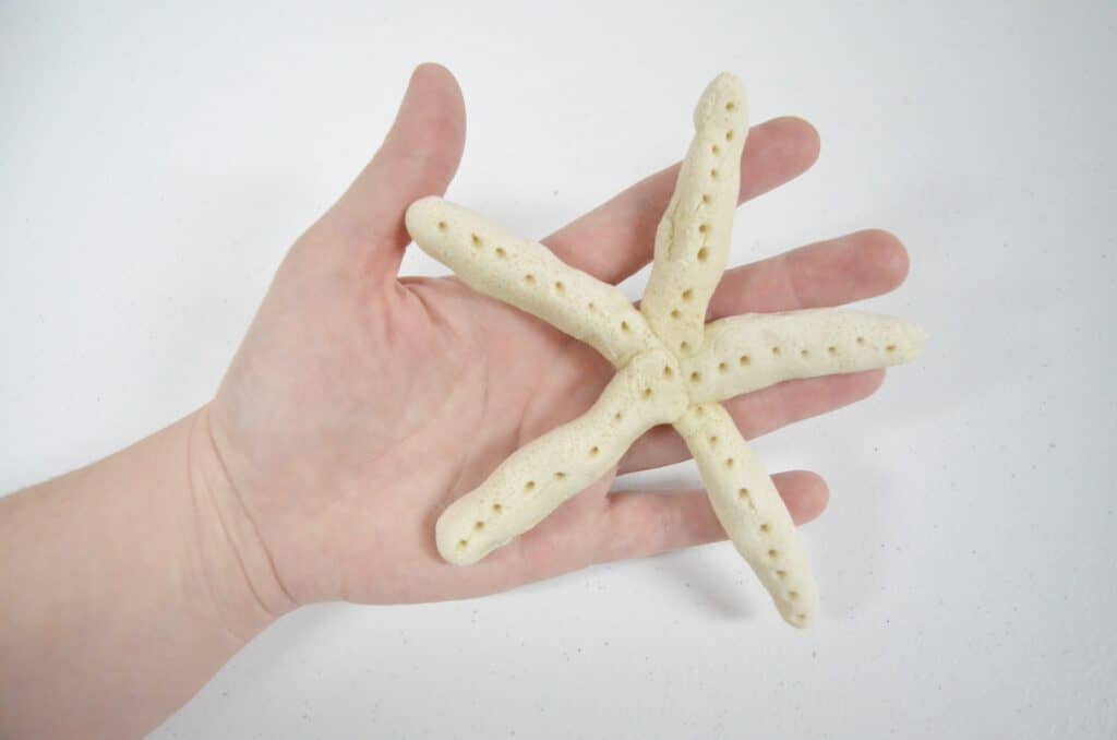 hand holding starfish salt dough