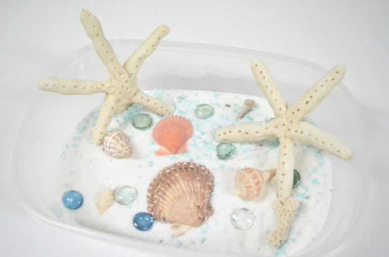Beach Sensory Activities for Kids: Seashell Imprints & Starfish Salt Dough