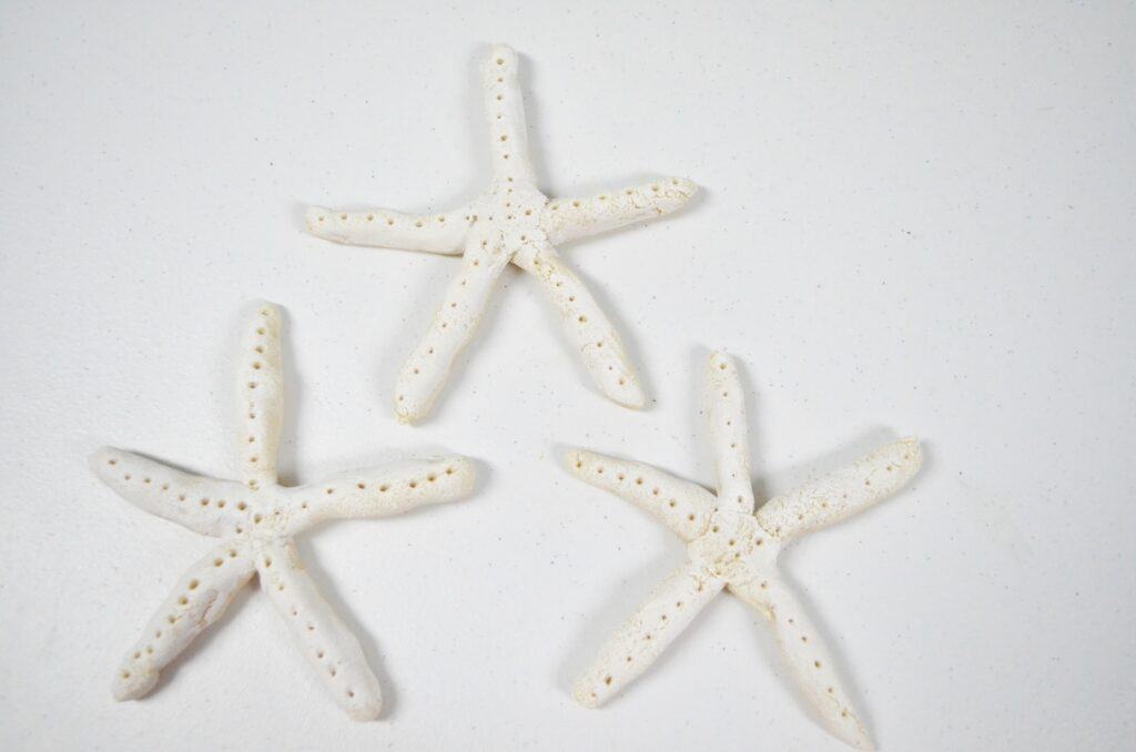 white starfish salt dough