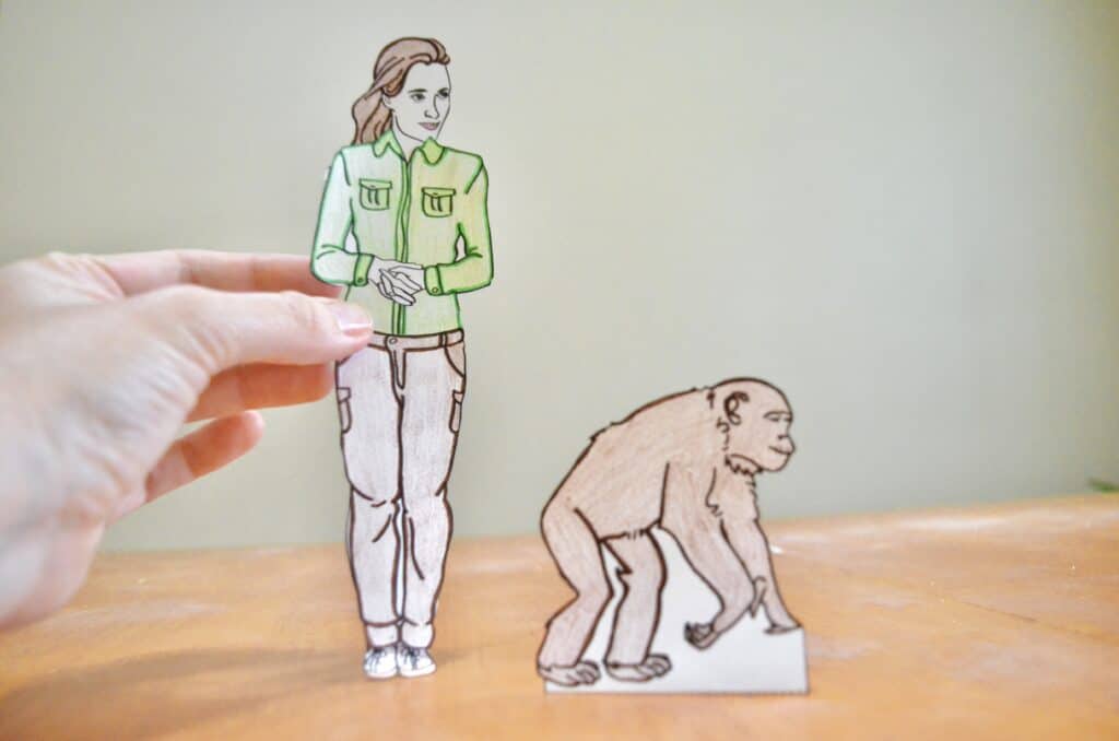 jane goodall and chimp paper doll