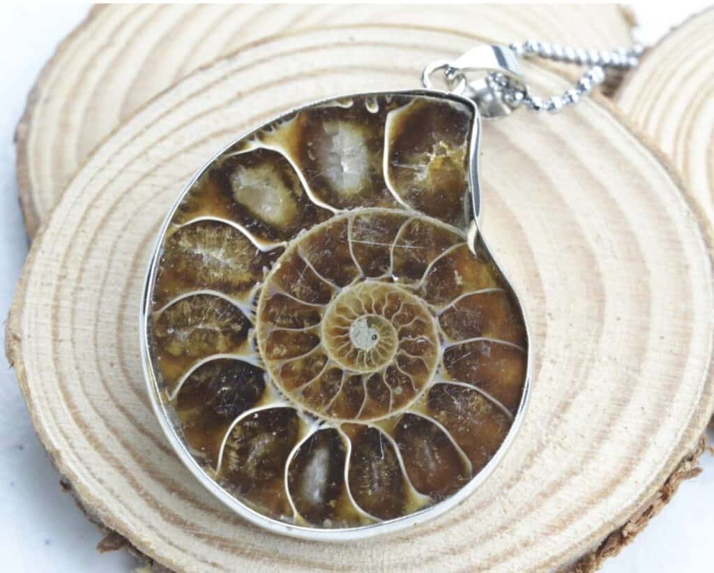 Ammonite Necklace