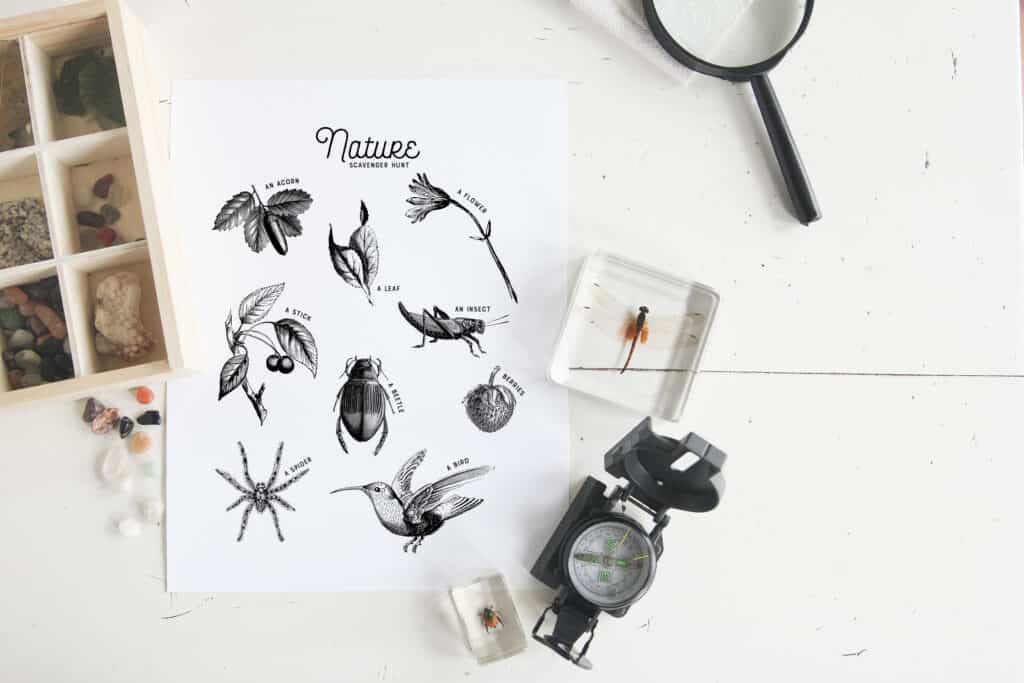 black and white scavenger hunt nature journal page