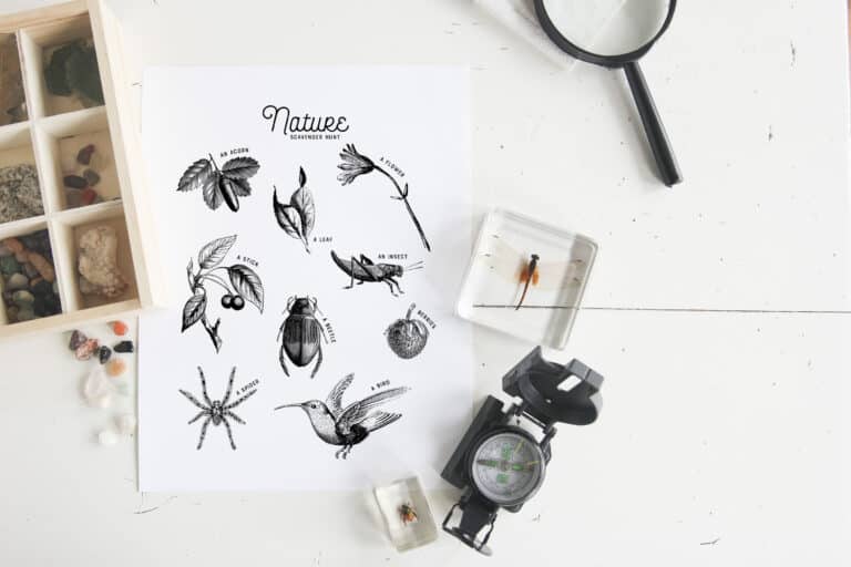 Free Scavenger Hunt Printable – Nature Journal Pages Printable