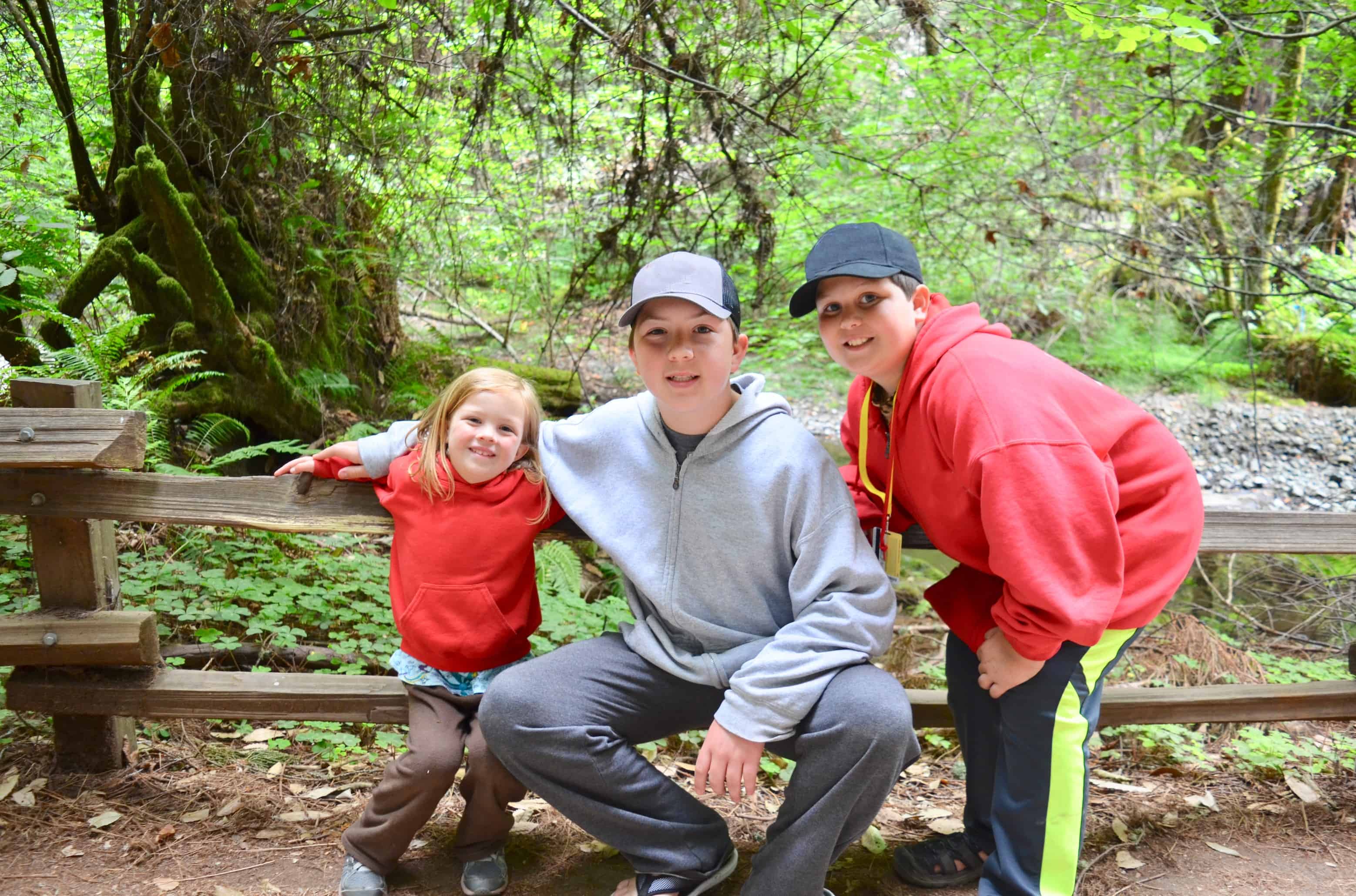 three kids siblings in forest hiking