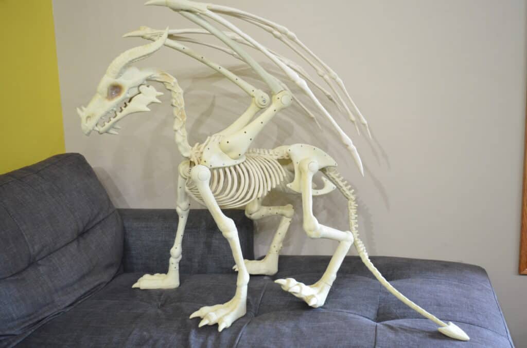 dragon skeleton