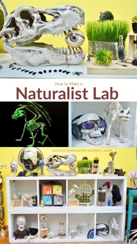 naturalist science lab collage