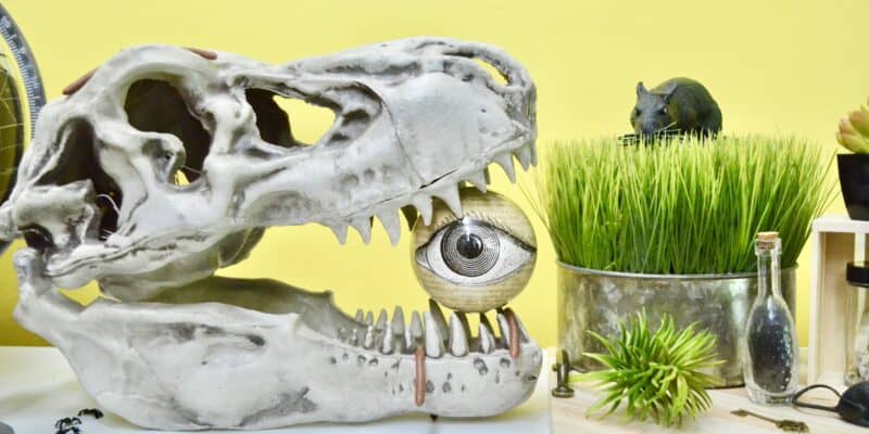 trex skeleton with eyeball in mouth