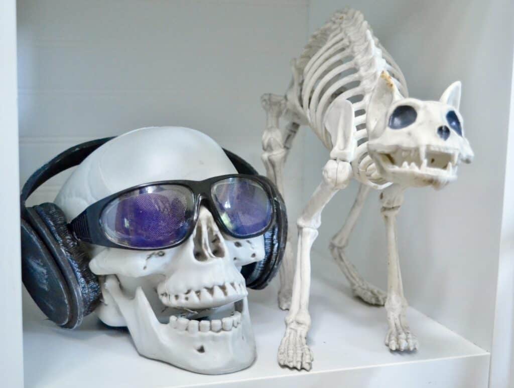 skeleton head with sunglasses and headphones