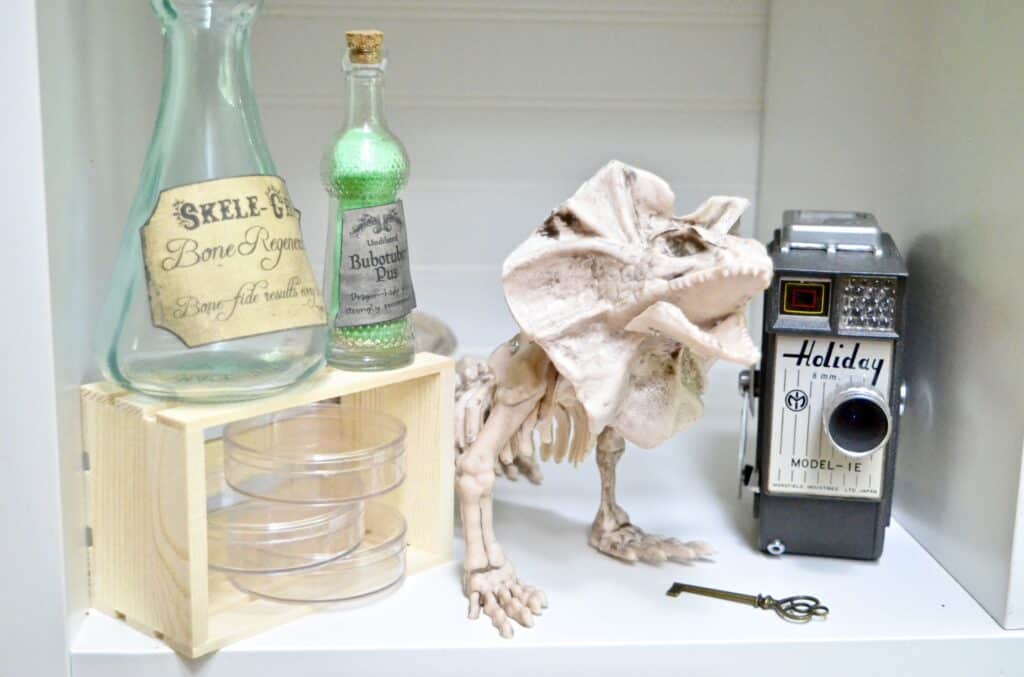 naturalist lab skeleton science equipment