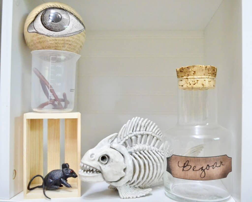 fish skeleton eyeball science lab decor