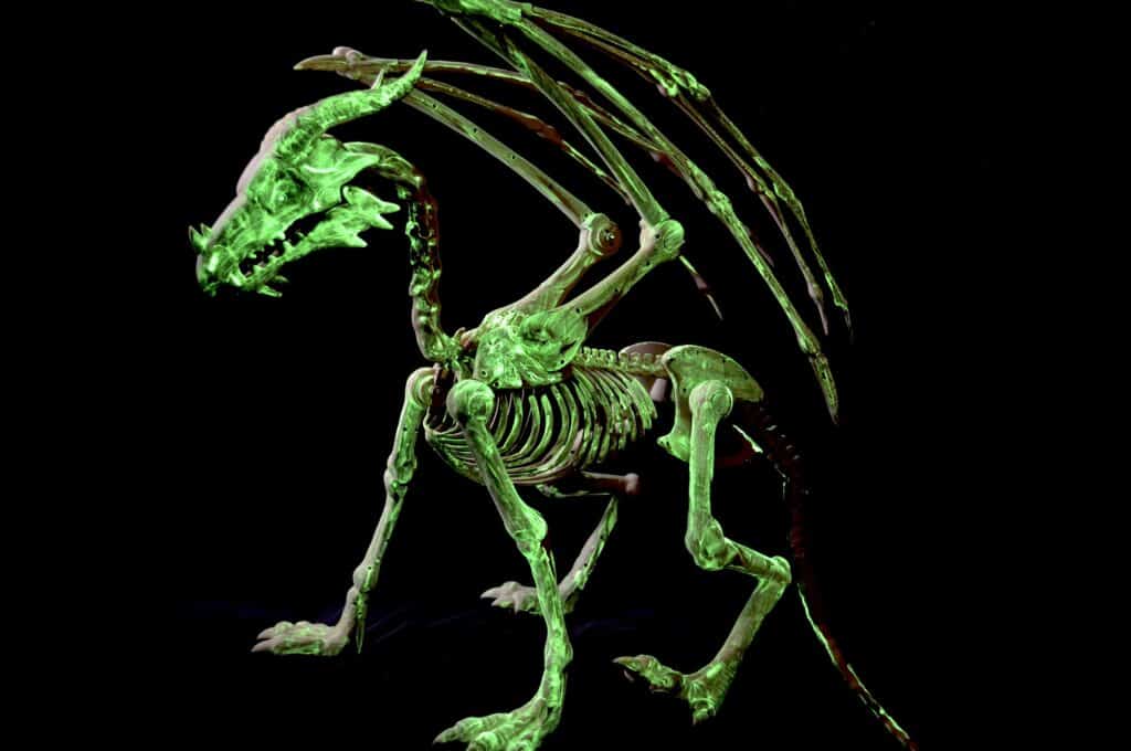 glow in the dark dragon skeleton