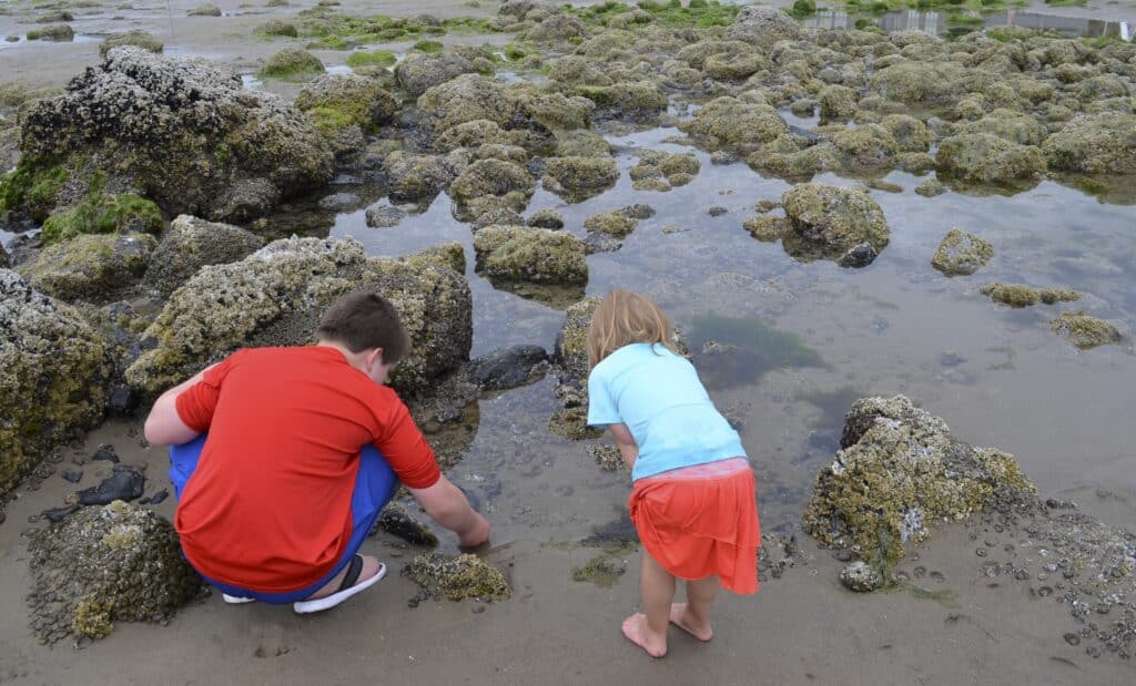 two kids looking in tidal pool