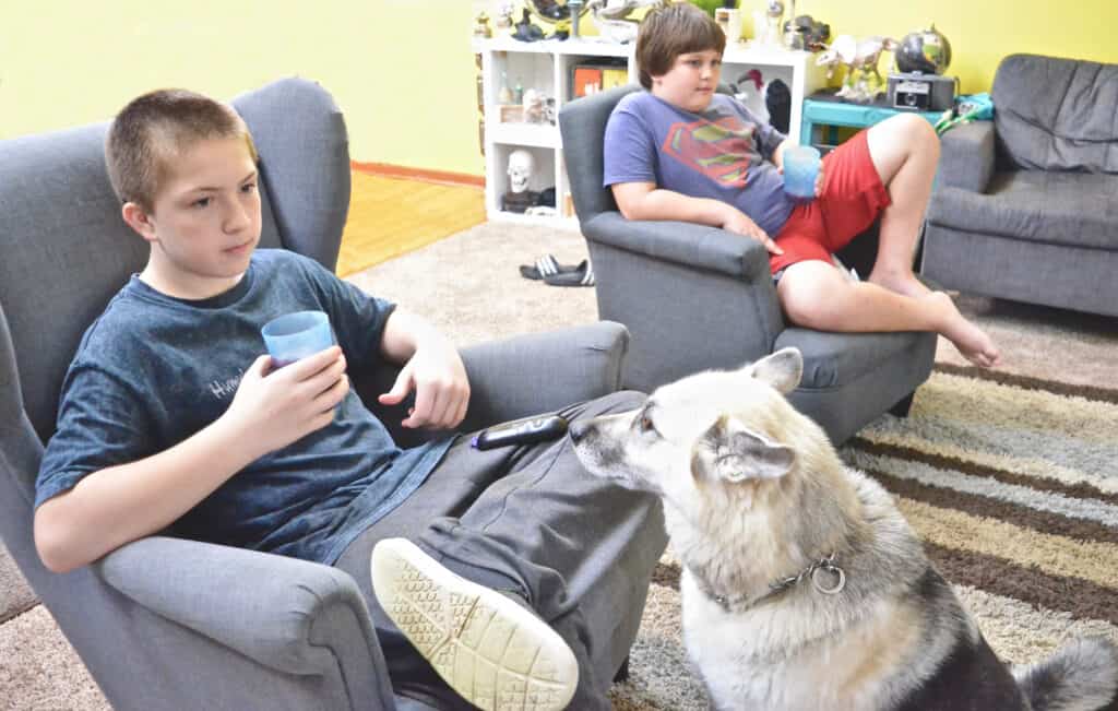 teen boys and dog watching tv