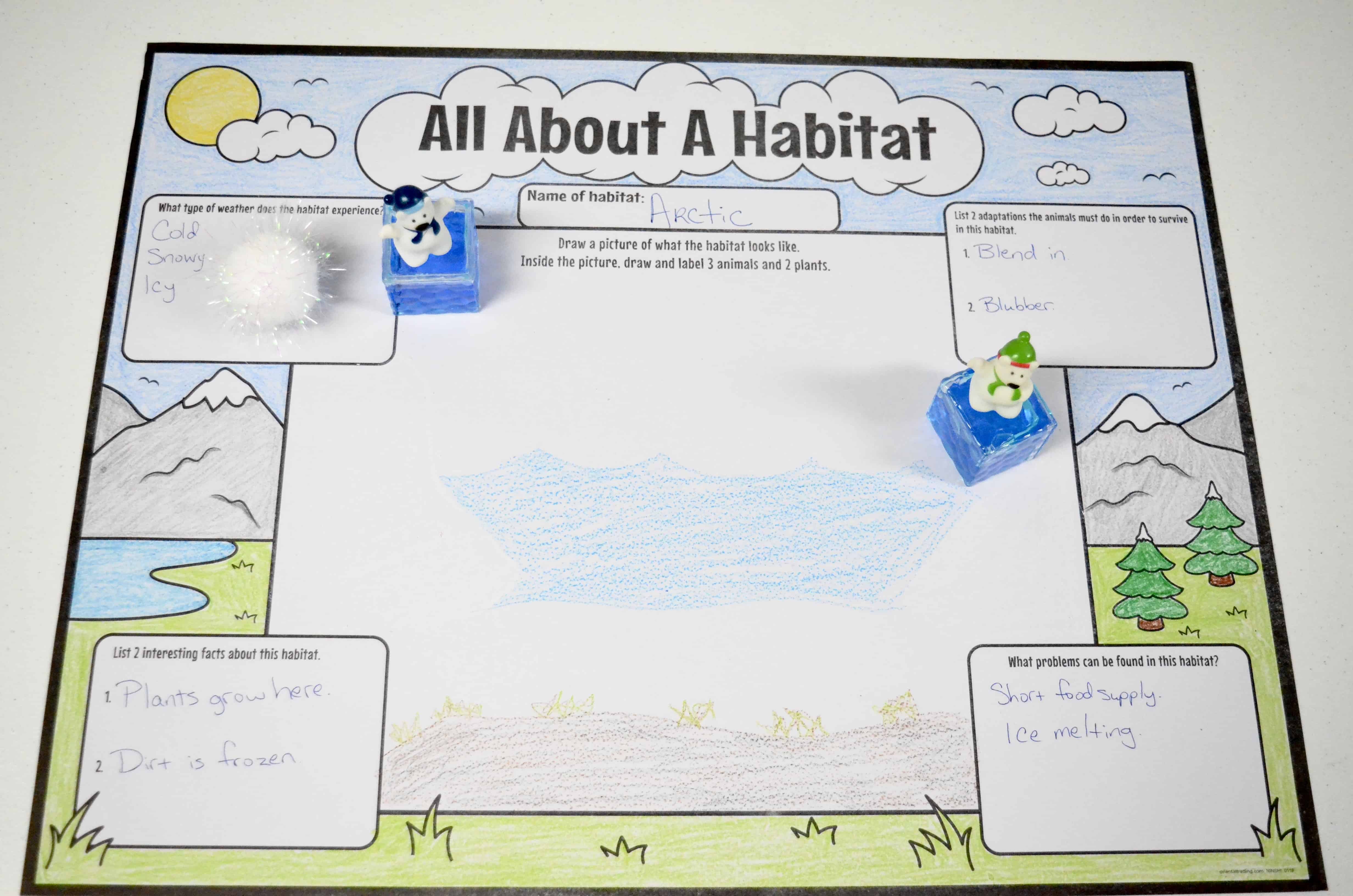 habitat worksheet for kids