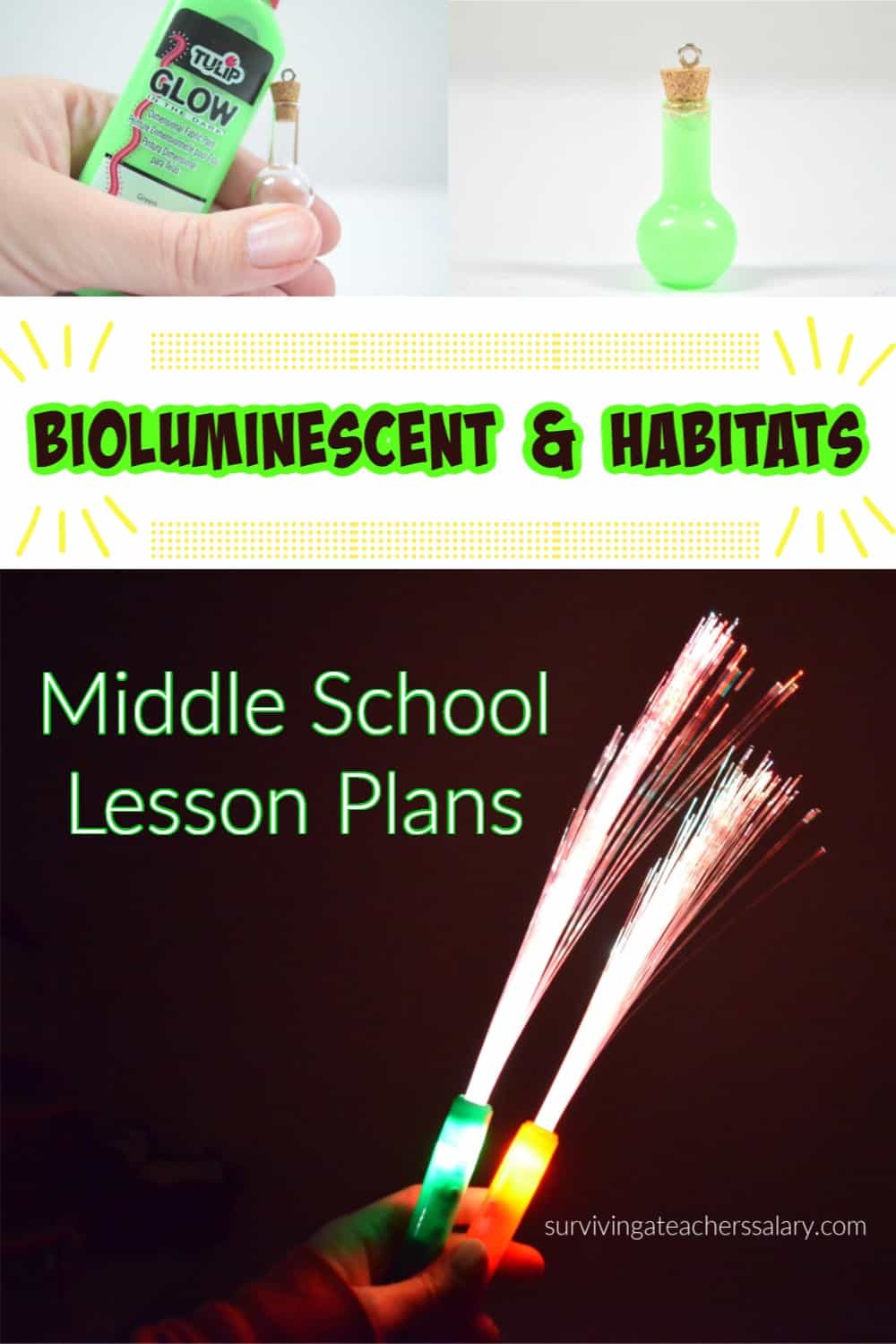 Bioluminescent & Habitats Science Lesson Plan for Middle School