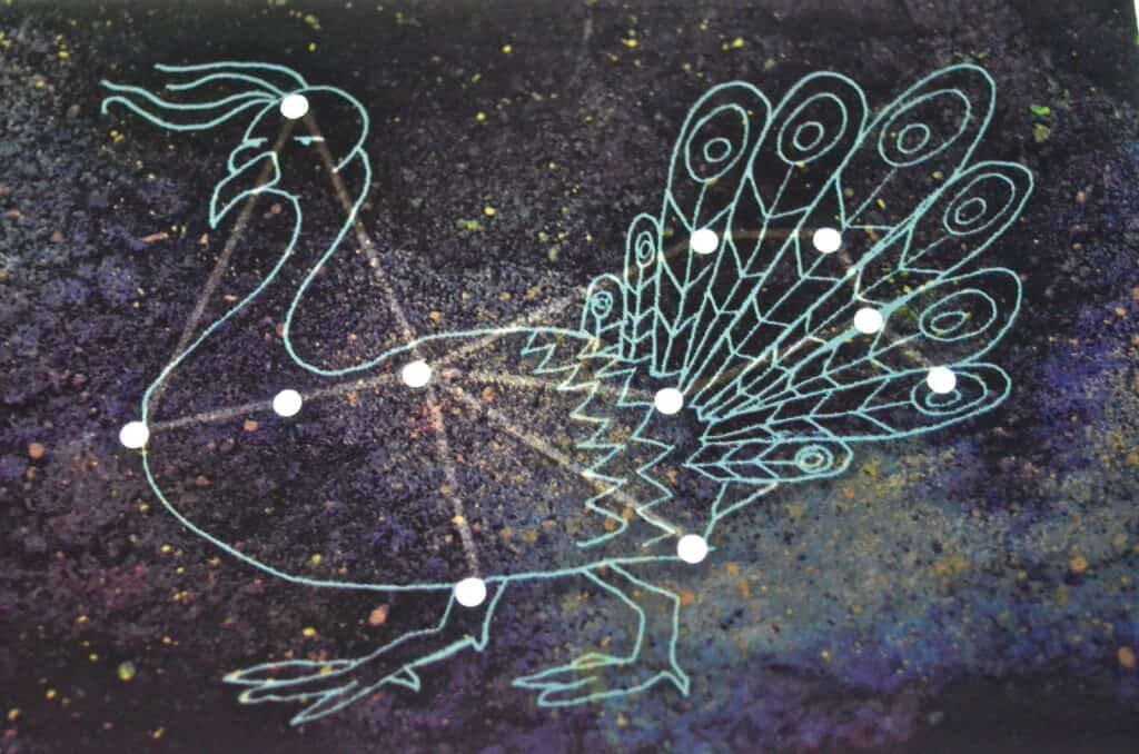 peacock constellation science card