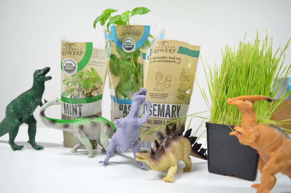 Dinosaur Sensory Garden - Olfactory & Taste Senses